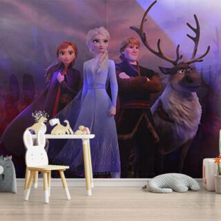 Frozen 2 Characters Wallpaper Mural