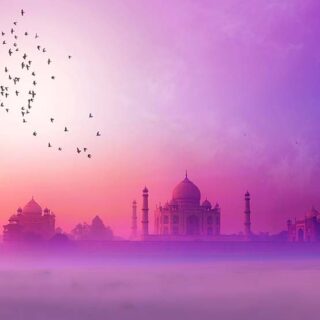 Timeless Taj Wallpaper Mural