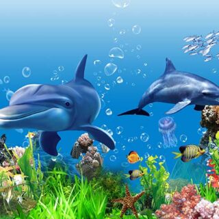 Cute Dolphins Wallpaper