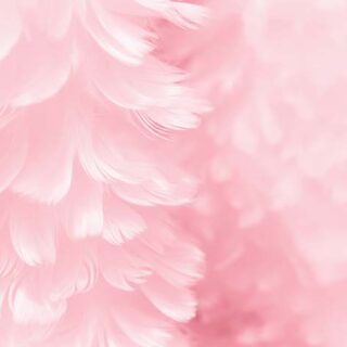 Pink Feathery Peace Wallpaper Mural