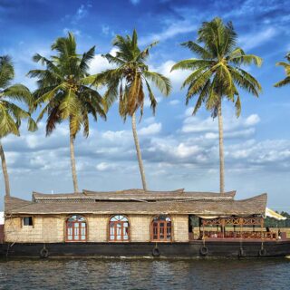 3D Feel House Boat and Palm Trees Wallpaper for Living Room