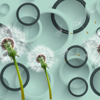 3D Wallpaper of Dandelion Seeds Flying in The Air for Living Room