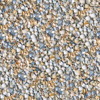 3D Shells on The Ground Wallpaper for Wall