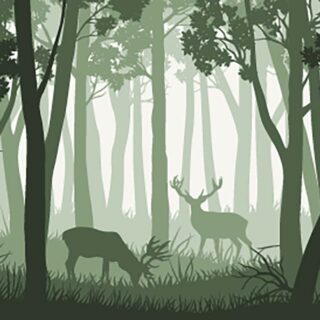Deer in Forest Wallpaper for Walls