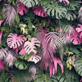 Wallpaper for House Wall, Group of pink and green leaves