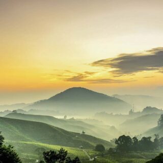 Mountain Wallpaper, Foggy landscape with hills and trees