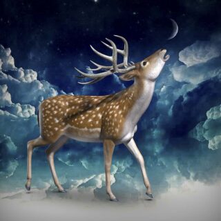 3D Deer and Moon Wallpaper
