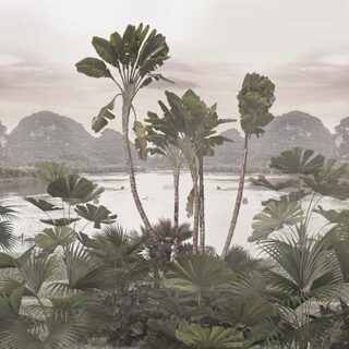 Serene Tropical Forest and River Wallpaper Mural