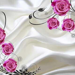 White Satin with Pink Roses Wall Wallpaper