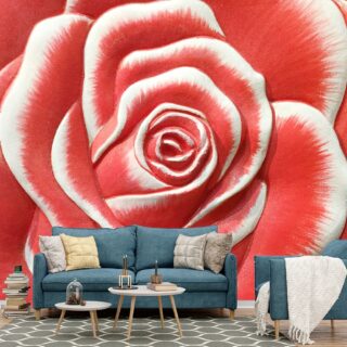 Romantic 3d Wallpaper for Bedroom Walls, Close up of a rose