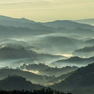 Foggy Landscape of Hills, Forest Wallpaper for Walls