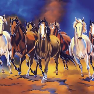 7 Ghode Ka Wallpaper for Walls