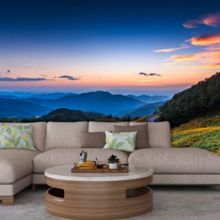 Vadiyan, Beautiful Flowers and Mountains Scenery Wallpaper