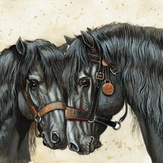 Black Horses Wallpaper for Wall