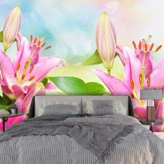 Pink Lily Flowers Wallpaper Mural