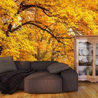 Autumn Glow Grove Trees with Yellow Leaves Wallpaper