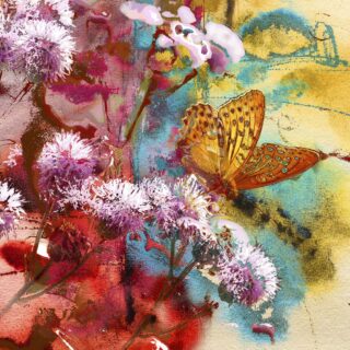 Butterfly Sitting on a Flower 3d Wallpaper