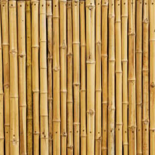 3d Effect Realistic Bamboo Sticks Wallpaper