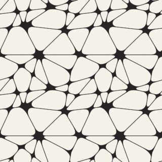 Black and White Geometric Pattern Wallpaper