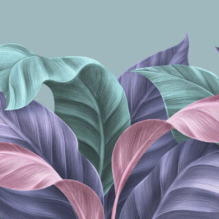 Guest Room Wallpaper, Colorful Tropical Leaves