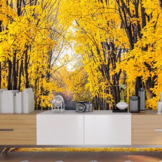Wall Paper for Balcony, Path with yellow leaves on the ground
