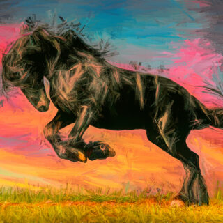 Black Horse Wallpaper for Wall