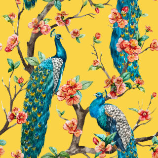 Beautiful Peacocks Wallpaper with Flowers