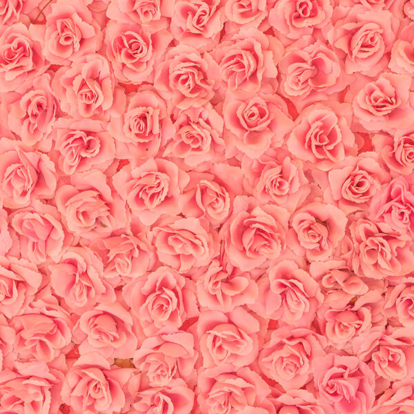 Pink Rose Pattern Wallpaper for Bedroom - Magic Decor