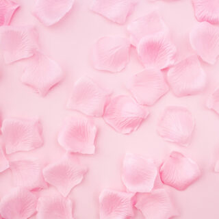 Pink Rose Petals Wallpaper for Walls