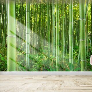 Bamboo Wallpaper for Wall, Green Bamboo Forest Wallpaper M
