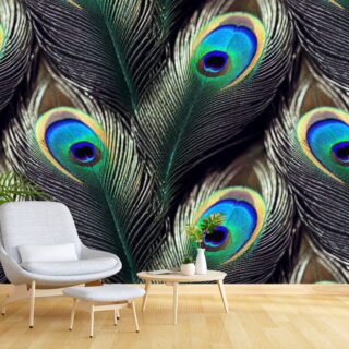 Mor Pankh Wallpaper for Wall, Natural Look