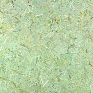 Light Green Curved Leaves Wallpaper for Walls