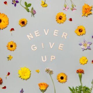 Never Give Up, Motivational Wallpaper for Wall