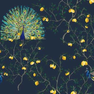 Exotic Peacock Chinoiserie Wallpaper