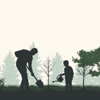 Planting Trees Wallpaper for Wall