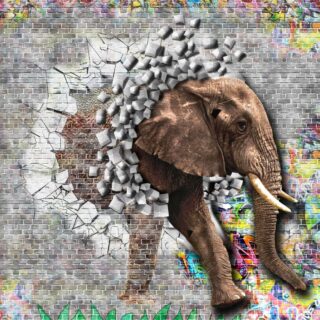 3D Elephant Graffiti Wall Art Wallpaper Mural