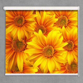 Sunflower yellow patterned roller Blinds