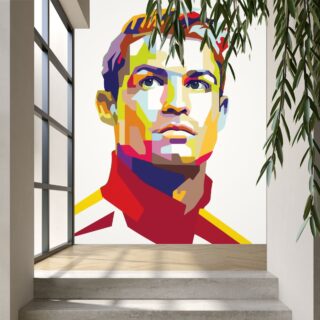 Ronaldo Abstract Wallpaper for Wall