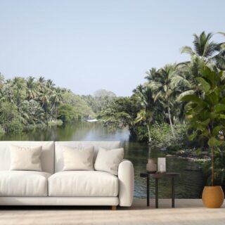 Kerala Backwaters Wallpaper for Wall