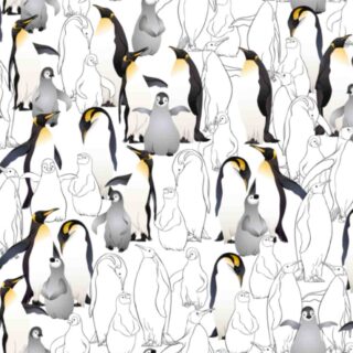 Group of Penguins Wallpaper Mural for Kids Room