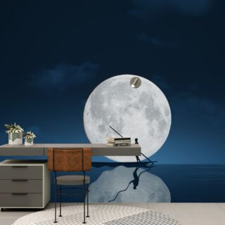 Luna, Full Moon Scenery Wallpaper Mural