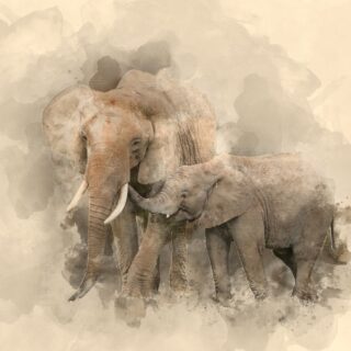 Beautiful Watercolour Painting of Mother and Baby Elephant Wallpaper