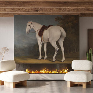 A Lady's Grey Hunter White Horse Painting Wallpaper Mural
