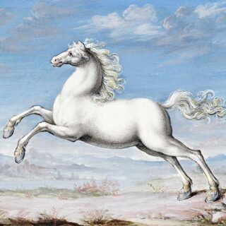 Classic White Horse Painting Wallpaper