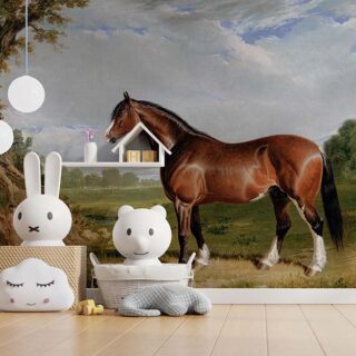 Clydesdale Stallion Painting Wallpaper Mural