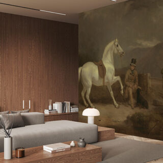 Ancient Grey Shooting Pony Painting Wallpaper Mural