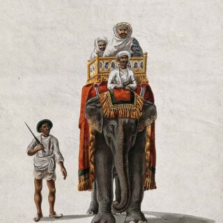 Elephant Whisperer, Indian Men Riding Hathi Painting Wallpaper Mural