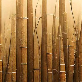 Bamboo Texture Symphony Wallpaper Mural