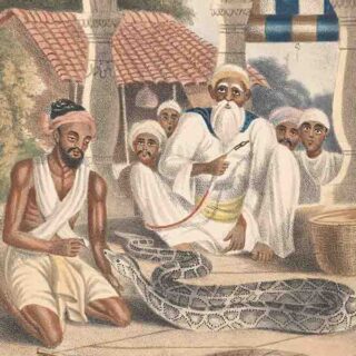 Sanpera, The Snake Catcher Painting Wallpaper