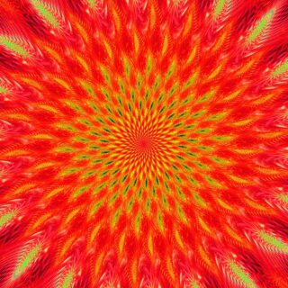 Trippy Bright Spiraling Flower Hypnotic Wallpaper Mural
